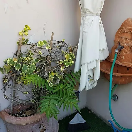 Roof Garden Apartment